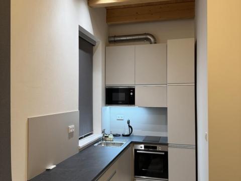 Pronájem bytu 1+kk, Brno - Líšeň, 32 m2