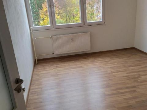 Pronájem bytu 1+1, Ostrava - Hrabůvka, Krestova, 40 m2