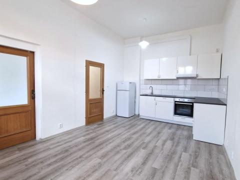 Pronájem bytu 1+1, Litoměřice, Turgeněvova, 35 m2
