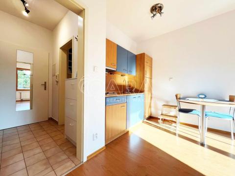 Pronájem bytu 1+kk, Průhonice, Školní, 1062 m2