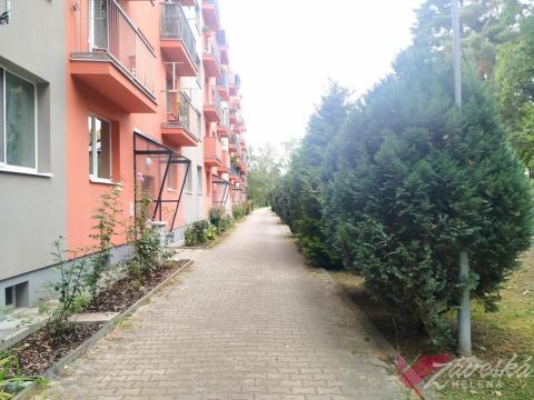 Pronájem bytu 2+kk, Milovice - Mladá, Komenského, 45 m2