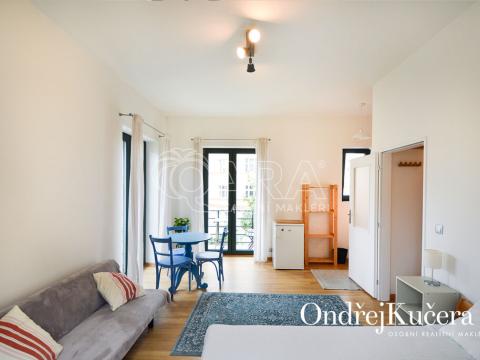 Pronájem bytu 1+kk, Praha - Nusle, Nad Nuslemi, 30 m2