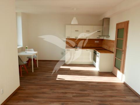 Pronájem bytu 1+kk, Plzeň, U Velkého rybníka, 34 m2