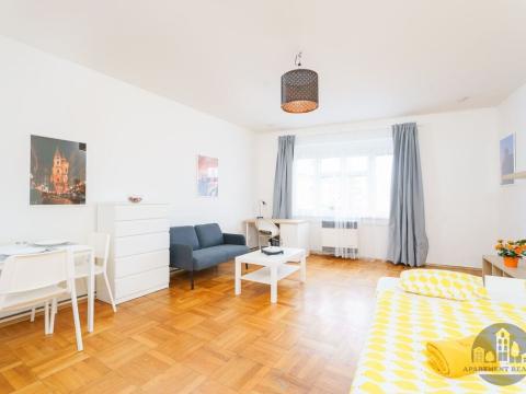 Pronájem bytu 1+kk, Praha - Nusle, Na Jezerce, 30 m2