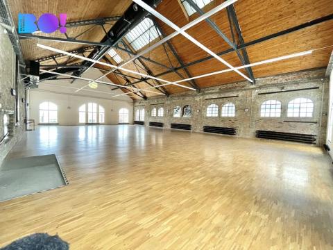 Pronájem obchodního prostoru, Ostrava, Vítkovická, 503 m2