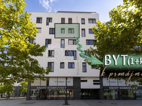 Pronájem bytu 1+kk, Ostrava - Moravská Ostrava, Jantarová, 40 m2