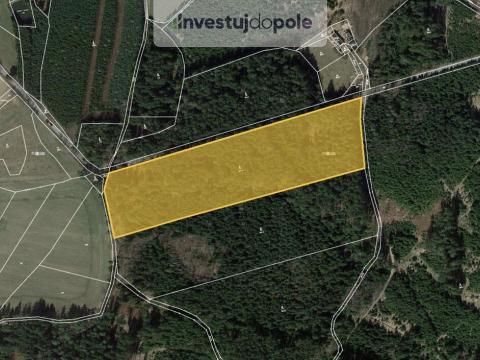 Prodej lesa, Milevsko - Klisín, 4100 m2