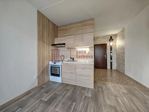 Pronájem bytu 1+kk, Jindřichův Hradec, Kosmonautů, 29 m2