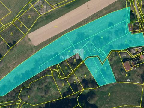 Prodej pozemku pro bydlení, Řečice - Bystrá, 11106 m2