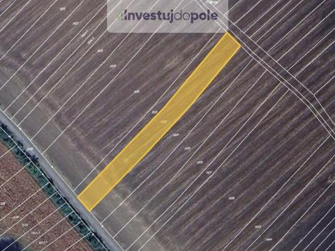 Prodej pole, Radějov, 1219 m2