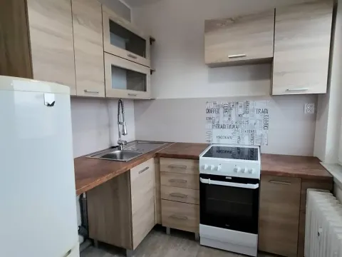 Pronájem bytu 1+1, Ostrava, Řecká, 30 m2