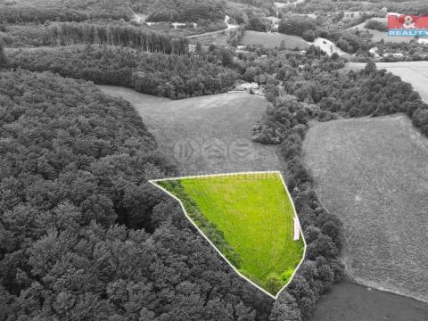 Prodej louky, Staré Hutě, 11031 m2