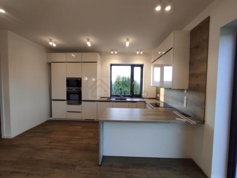 Pronájem rodinného domu, Karlovy Vary - Tašovice, Slovanská, 500 m2