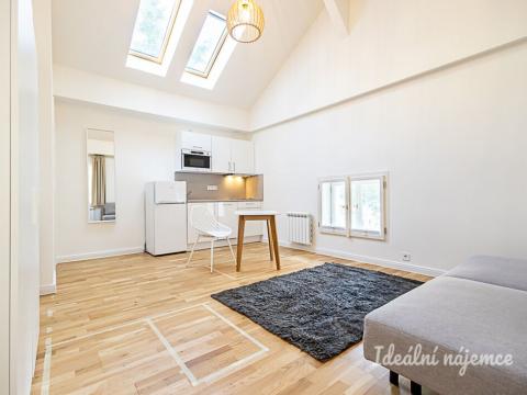 Pronájem bytu 1+kk, Praha - Vinohrady, Varšavská, 26 m2