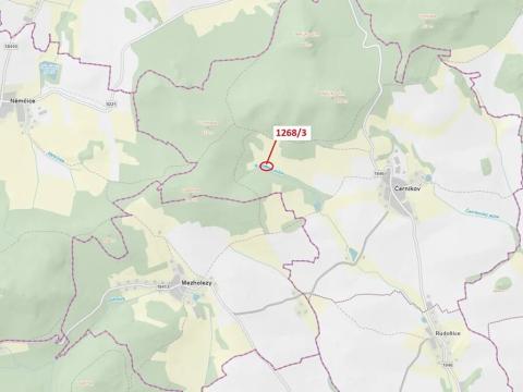 Dražba lesa, Černíkov, 198 m2