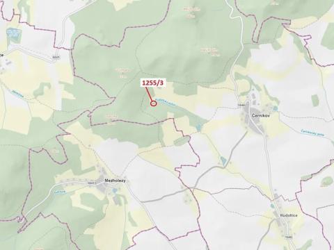 Dražba lesa, Černíkov, 112 m2