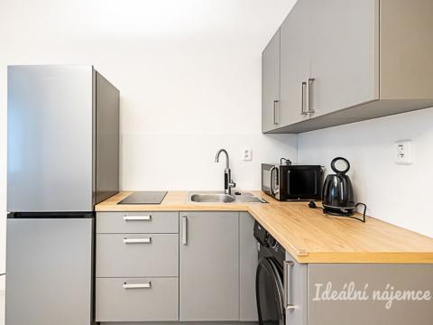 Pronájem bytu 1+kk, Praha - Žižkov, Biskupcova, 27 m2