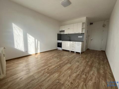 Pronájem bytu 1+kk, Sokolov, Marie Majerové, 20 m2