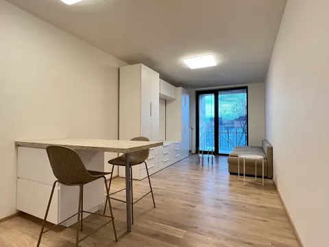 Pronájem bytu 1+kk, Praha - Smíchov, Holečkova, 8 m2