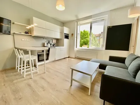 Pronájem bytu 2+kk, Brno, Ryšánkova, 51 m2