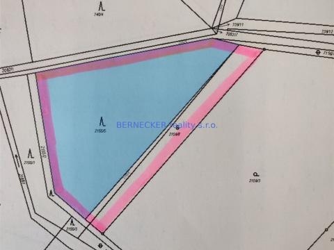 Prodej lesa, Rasošky, 5127 m2