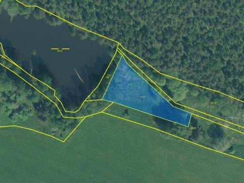 Prodej lesa, Rozvadov - Nové Domky, 5912 m2
