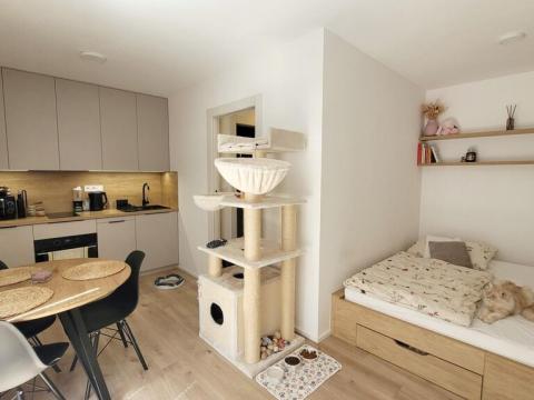 Pronájem bytu 1+kk, Praha - Strašnice, Strančická, 33 m2