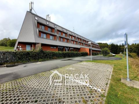 Prodej bytu 1+kk, Ostružná - Ramzová, 36 m2