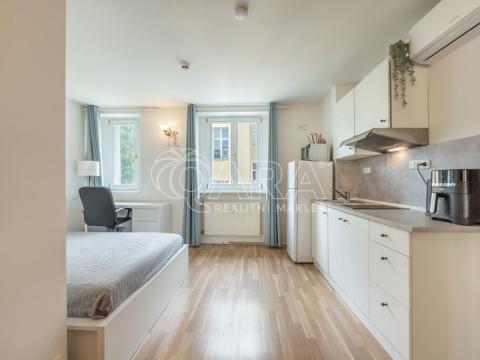Pronájem bytu 1+kk, Praha - Smíchov, Radlická, 26 m2