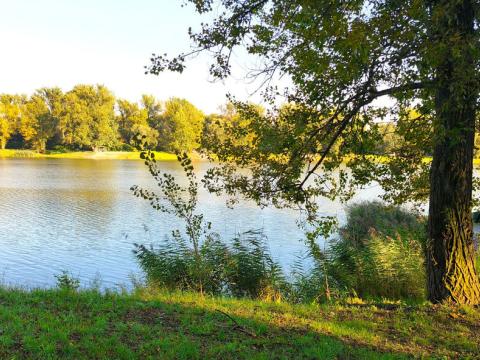 Prodej louky, Ostrava - Koblov, Hřbitovní, 1691 m2