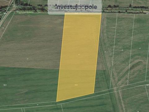 Prodej pole, Krušovice, 22900 m2