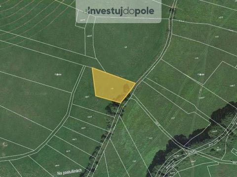 Prodej pole, Neurazy - Nová Ves u Nepomuka, 1677 m2