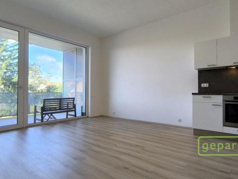 Pronájem bytu 1+kk, Brno - Židenice, Gajdošova, 34 m2