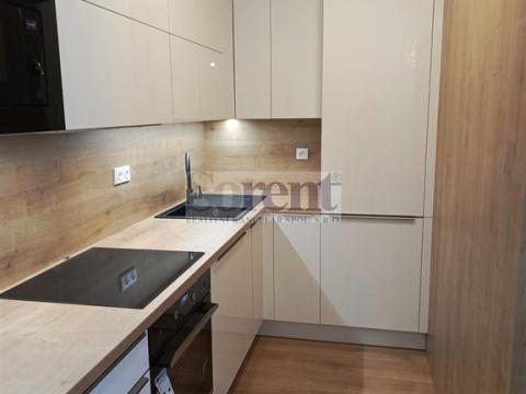 Pronájem bytu 1+kk, České Budějovice - České Budějovice 3, Riegrova, 47 m2