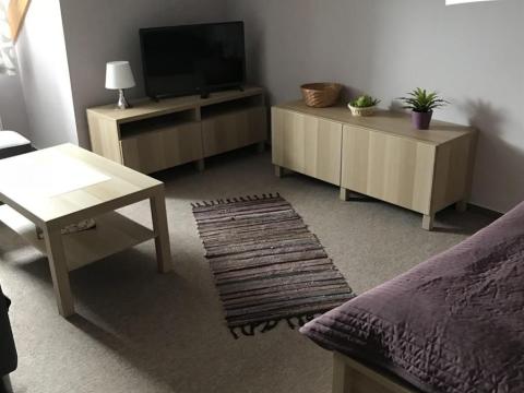 Pronájem bytu 1+1, Plzeň, Květná, 40 m2
