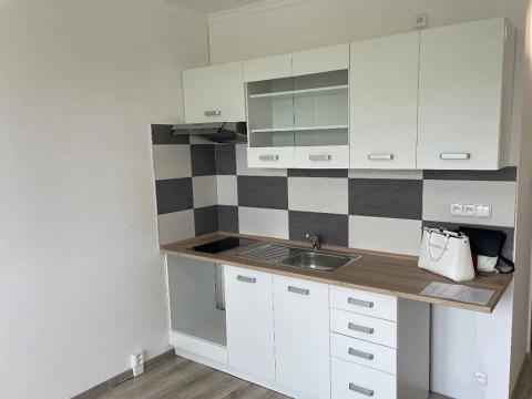 Pronájem bytu 1+kk, Ostrov, Kollárova, 20 m2