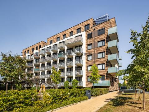 Pronájem bytu 1+kk, Praha, Vítové, 29 m2