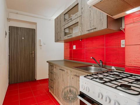 Pronájem bytu 3+kk, Březová, Hlavní, 56 m2