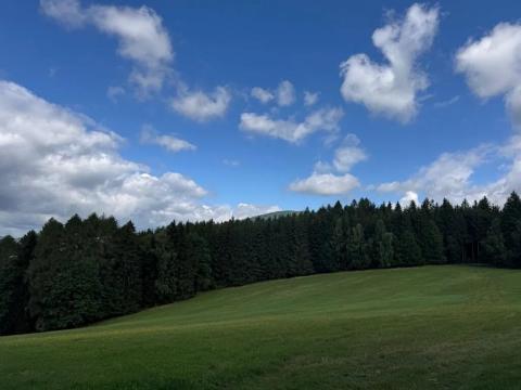 Prodej lesa, Písařov, 53575 m2