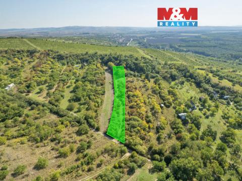 Prodej zahrady, Židlochovice, 3718 m2