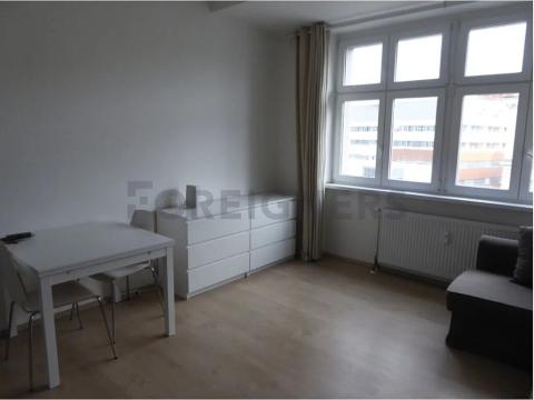 Pronájem bytu 1+kk, Brno, Pekařská, 17 m2
