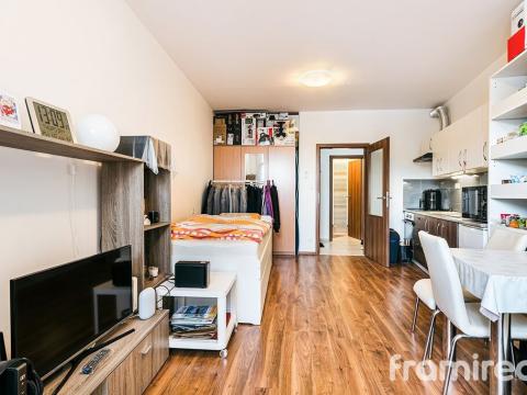 Pronájem bytu 1+kk, Brno, Rybářská, 30 m2
