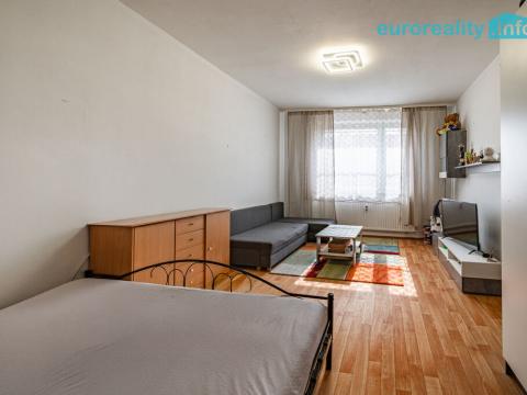 Prodej bytu 1+1, Cheb, Dvořákova, 42 m2