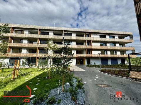 Pronájem bytu 1+kk, Plzeň - Východní Předměstí, Kartónová, 43 m2