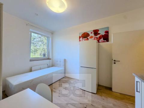 Pronájem bytu 1+kk, Praha - Krč, Budějovická, 20 m2