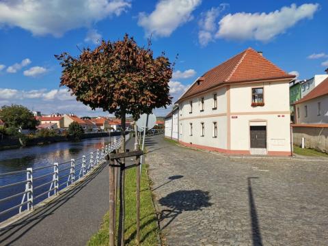 Pronájem bytu 1+kk, Sušice - Sušice III, Mariánská, 20 m2