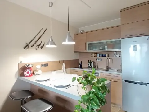 Prodej bytu 2+kk, Praha - Čakovice, Marie Podvalové, 58 m2