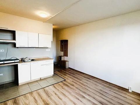 Pronájem bytu 1+kk, Plzeň, Skupova, 20 m2