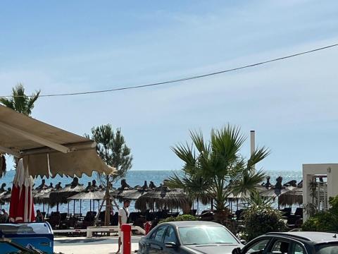 Prodej bytu 2+kk, Rruga Porta e Detit,Durrës,Albánie, 60 m2