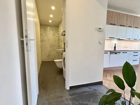 Pronájem bytu 2+kk, Praha - Žižkov, Křivá, 75 m2